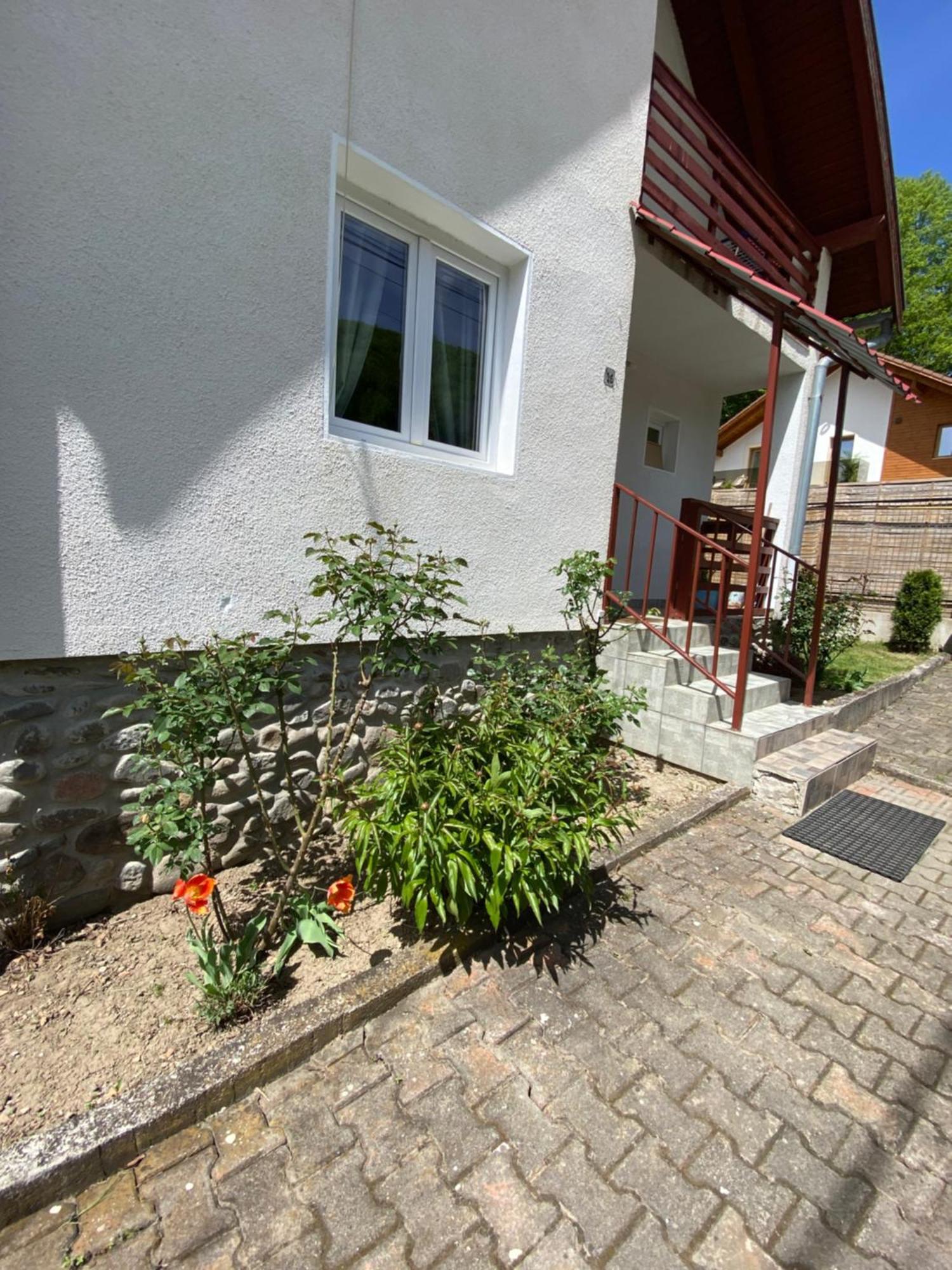 Casa Micul Arin Villa Sovata Exterior photo
